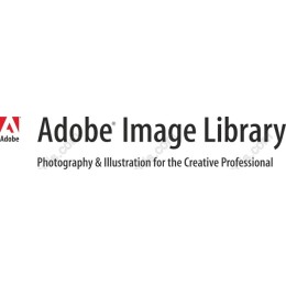 Premium Scalable for Modern