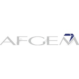 AFGEM Premium Logo
