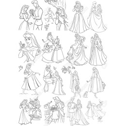 Fairy Tale Princess Set