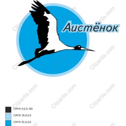 Soaring Stork