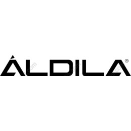 Bold Modern Logo