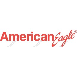 American Eagle Logo