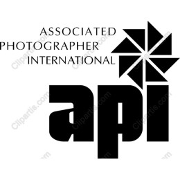 Associated Photographer International (API) Logo
