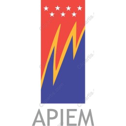Dynamic Geometric - APIEM