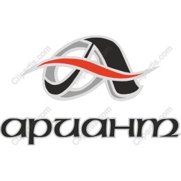 Dynamic Modern Logo