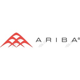 Modern Geometric Logo