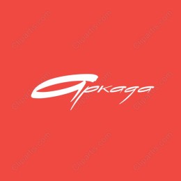 Dynamic Modern Logo