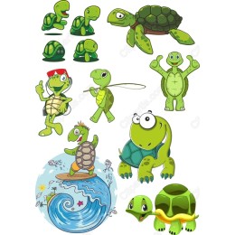 Turtle Bundle