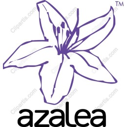 Azalea Flower