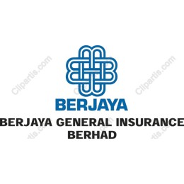 Premium Insurance Branding