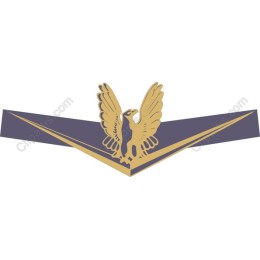 Majestic Eagle with Geometric Banner
