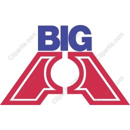 BIG Logo