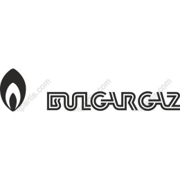 Modern Flame Logo