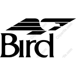 Sleek Bird