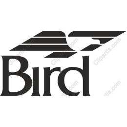 Stylish Bird