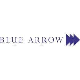 Premium Blue Arrow
