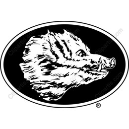 Wild Boar