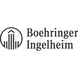 Premium Geometric Logo