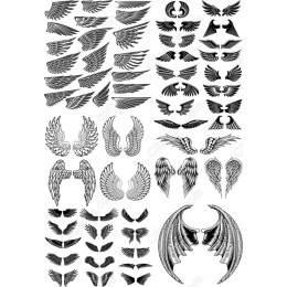 Exquisite Wing Bundle - Collection