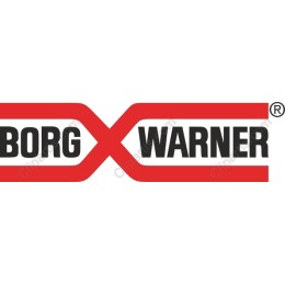 BorgWarner Iconic Logo