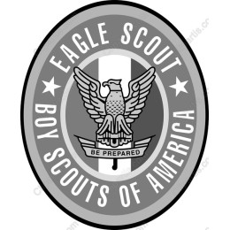 Eagle Scout Emblem