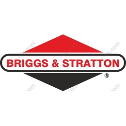 Briggs & Stratton Logo