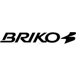 BRIKO Dynamic Logo