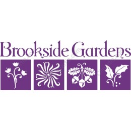 Brookside Gardens Floral Set