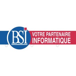 BSI Professional Logo - Your IT Partner