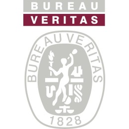 Bureau Veritas Logo - Quality Assurance Icon