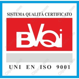 ISO 9001 Certification - Bvqi Logo