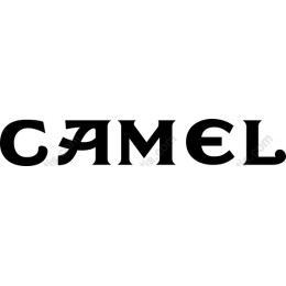 Bold Camel