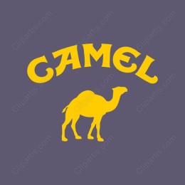 Vibrant Camel