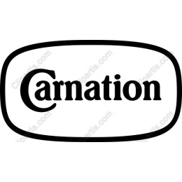 Elegant Carnation