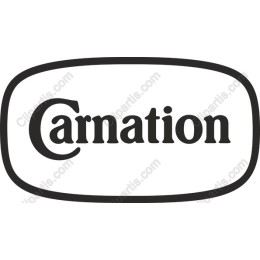 Carnation