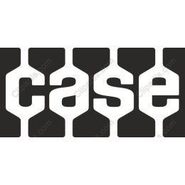 CASE