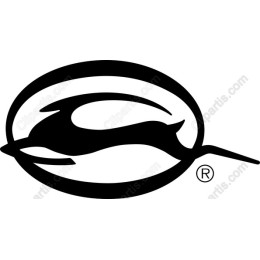 Stylish Dolphin