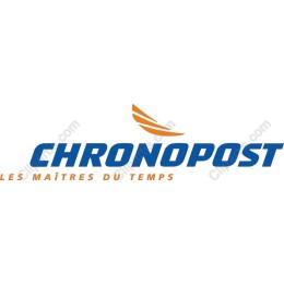 Dynamic Delivery Logo