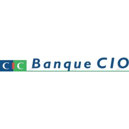 Professional Banking Logo
