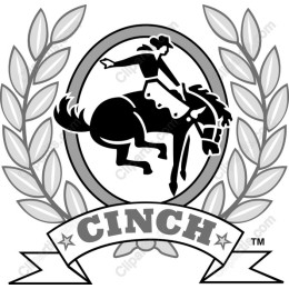 Dynamic Rodeo Rider