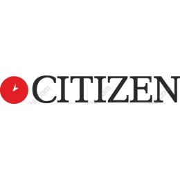 Citizen - Sleek and Modern Art