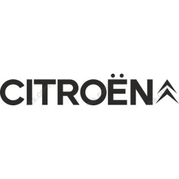 Citroen Iconic Logo