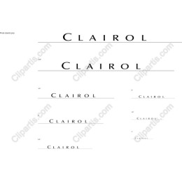 Clairol Elegant