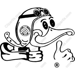 Aviator Duck