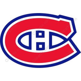 Iconic Sports Team Logo