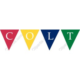 C-O-L-T Colorful Bunting Flag