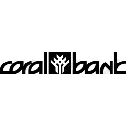 Coralbank Modern Logo