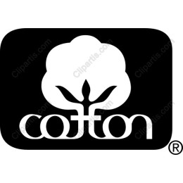 Cotton Blossom