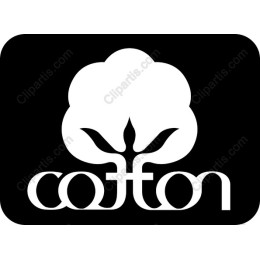 Cotton Blossom