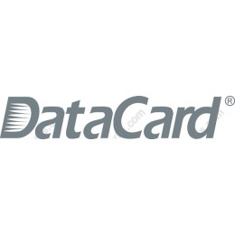 DataCard Professional Logo